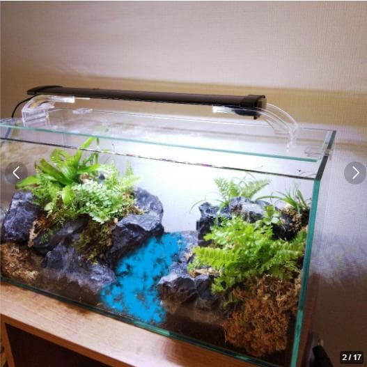 【受注生産】アクアテラリウム　カニリウム　イモリウム　苔　水槽　苔テラリウム