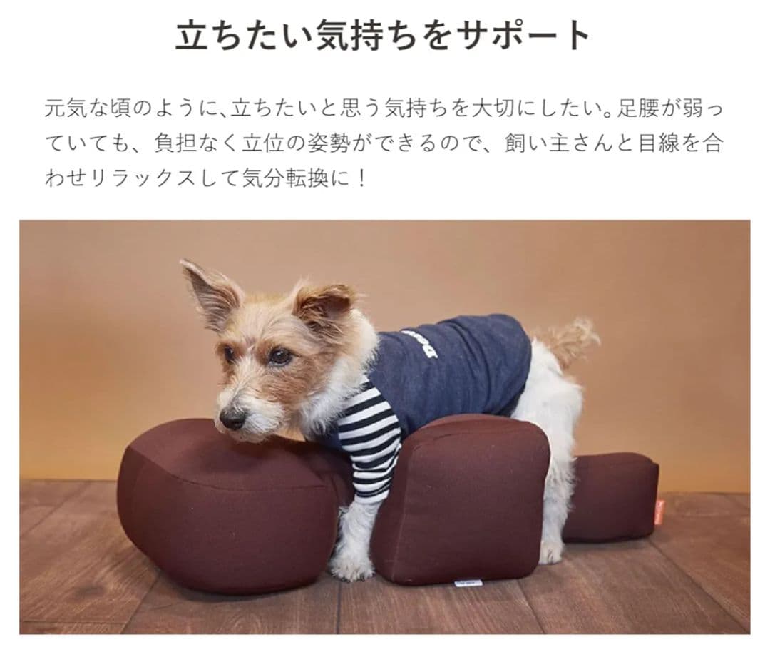 リラクッション　M　ブラウン　老犬　介護　犬用　床ずれ防止