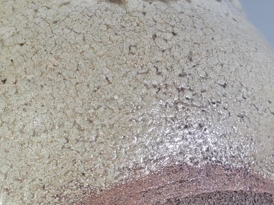 古美術 古唐津 片口 碗 時代物 DT466