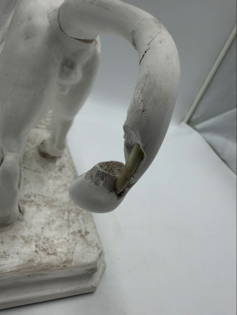 石膏像　ライオン　オブジェ　美術