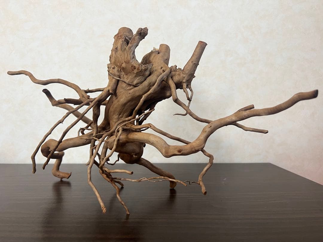 22321 ブランチウッド　流木　アクアリウム 沈水確認済