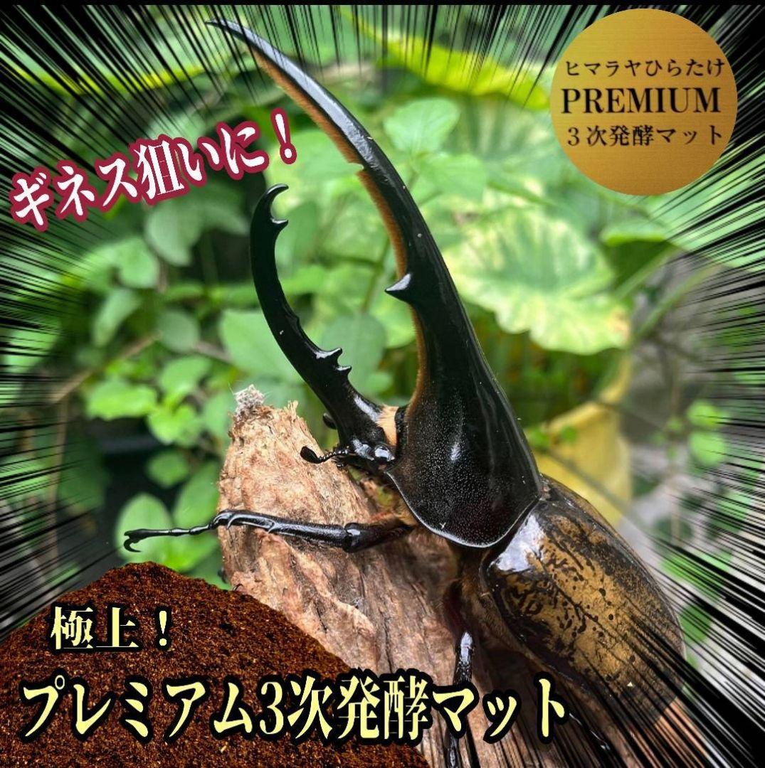 ヘラクレスが巨大化！プレミアム3次発酵カブトムシマット　60リットル　産卵にも！