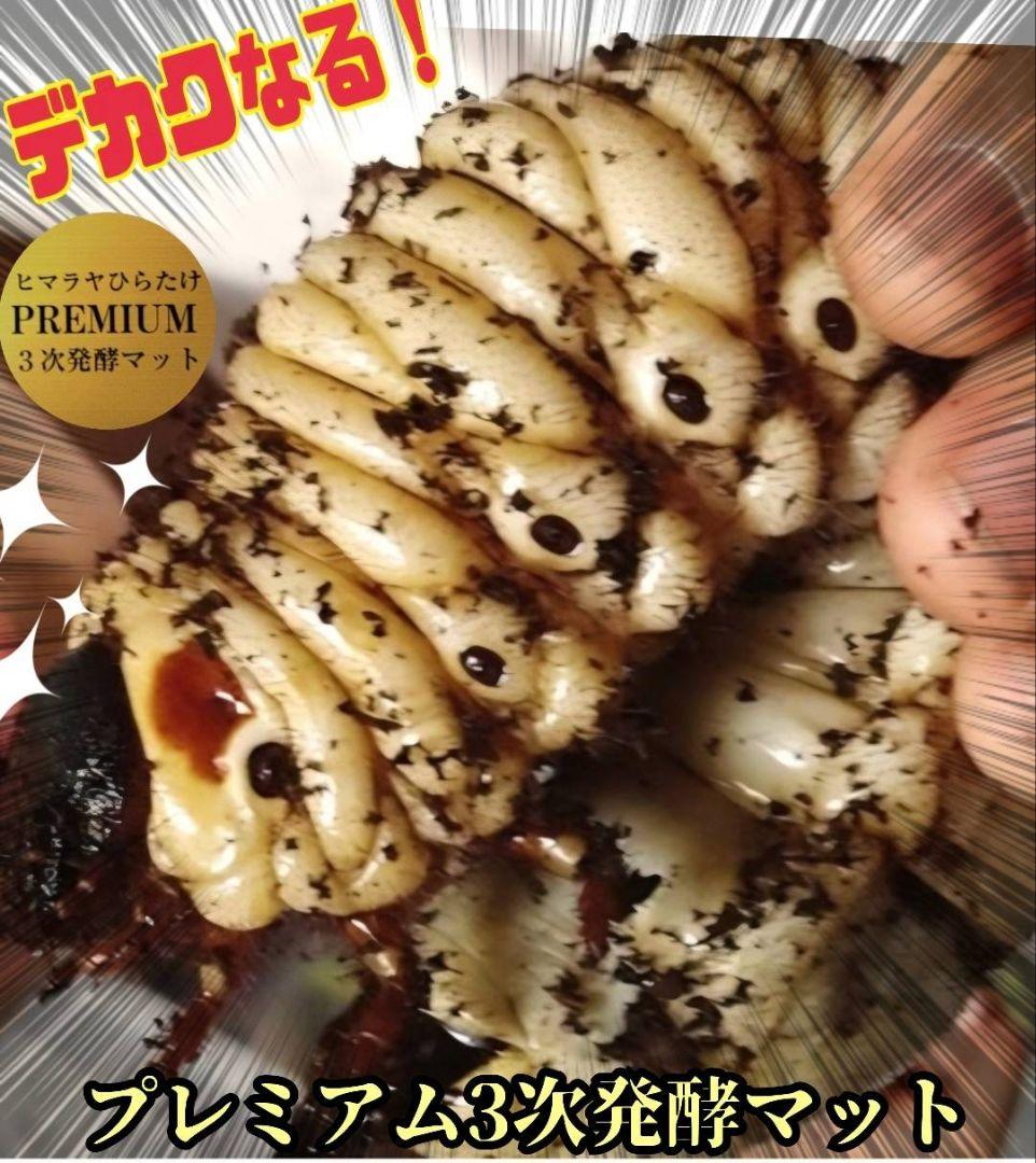 ヘラクレスが巨大化！プレミアム3次発酵カブトムシマット　60リットル　産卵にも！