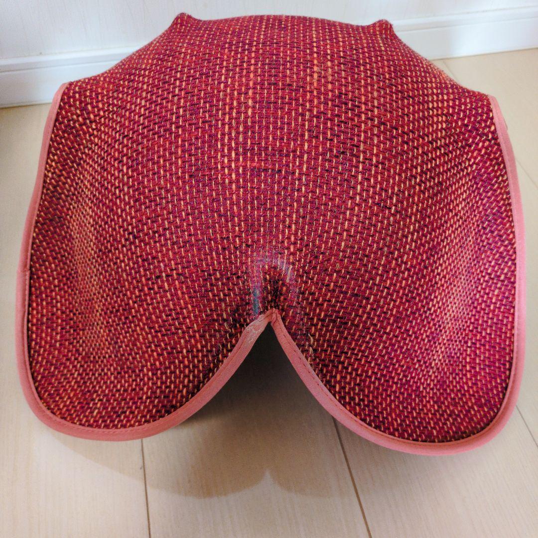 【まとめ売り】MTG style PREMIUM スタイルプレミアム 骨盤矯正