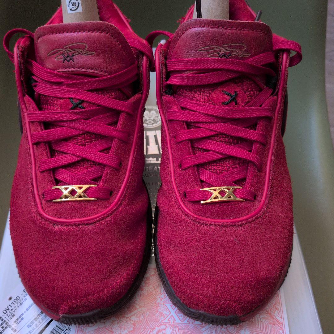 NIKE レブロン20リバプール 25cm