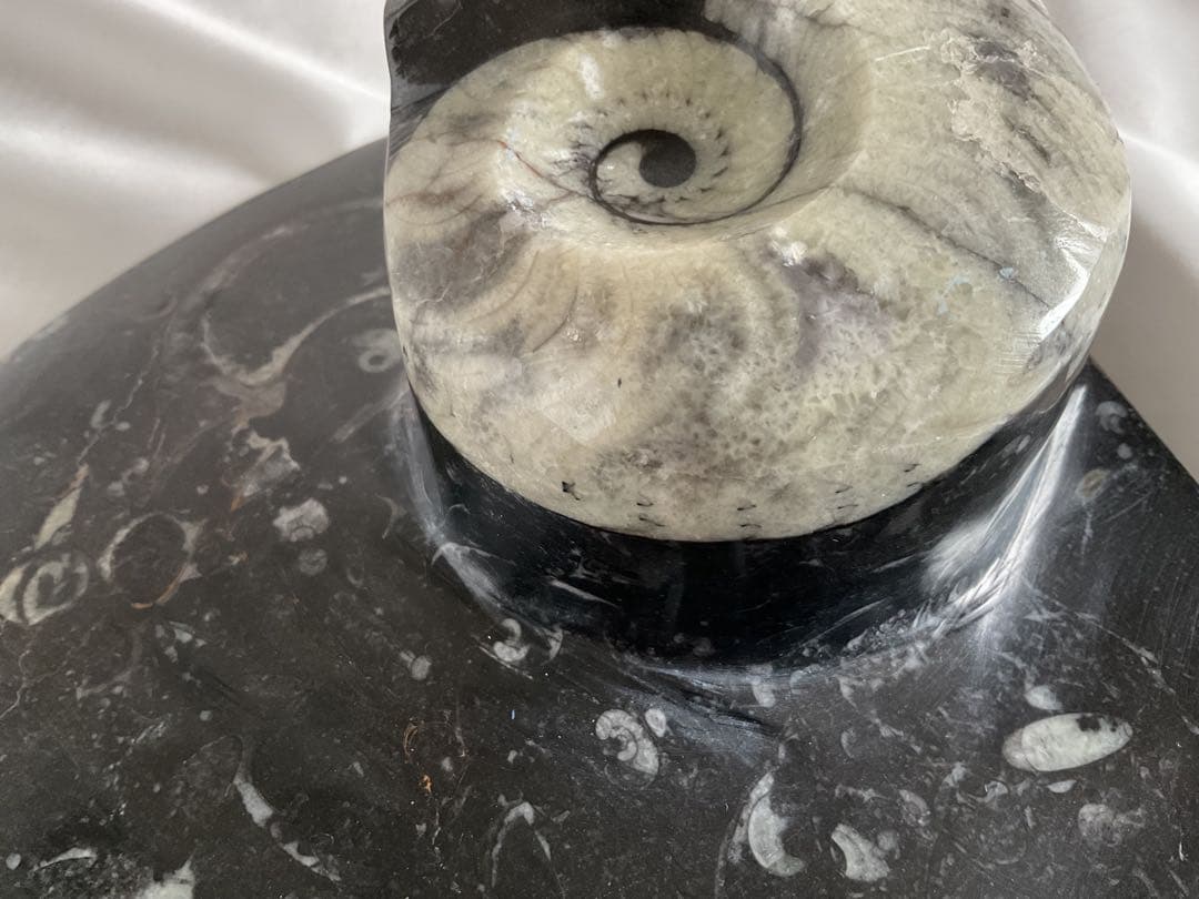 大理石アンモナイト化石の装飾/手彫り