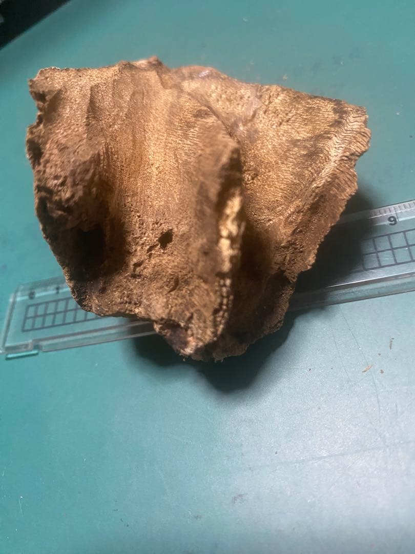 【上品】ベトナム産 天然 シャム 沈梗27.84g 香木 / 沈香 聞香