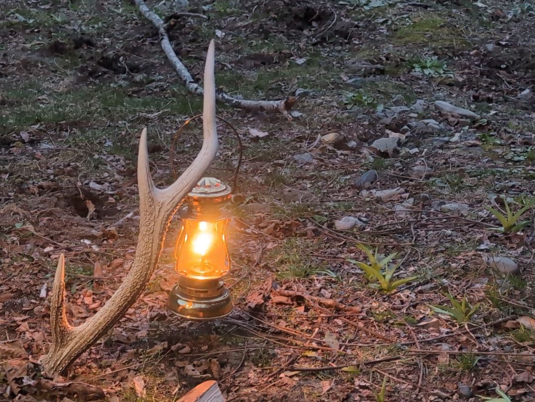 DIETZ SPORT スケーターズランタン（ゴールド）