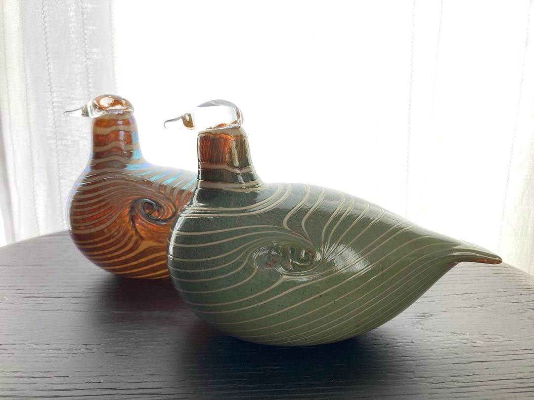 so16Nuutajärvi oiva Long-taled duck 緑