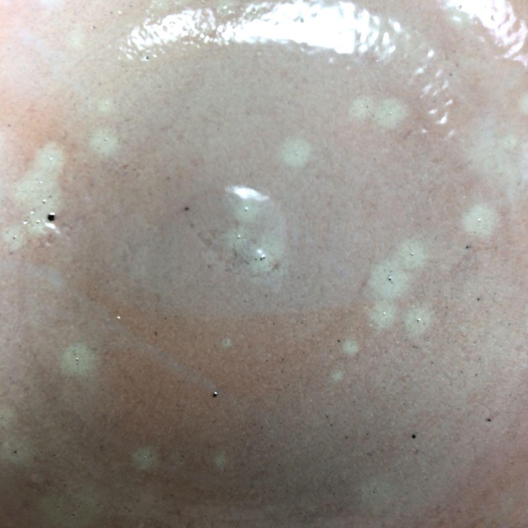 Ｒ６２６　平水指　『七十四代　朝日豊斎』『表千家　堀内宗完　箱書』　共箱　茶道具