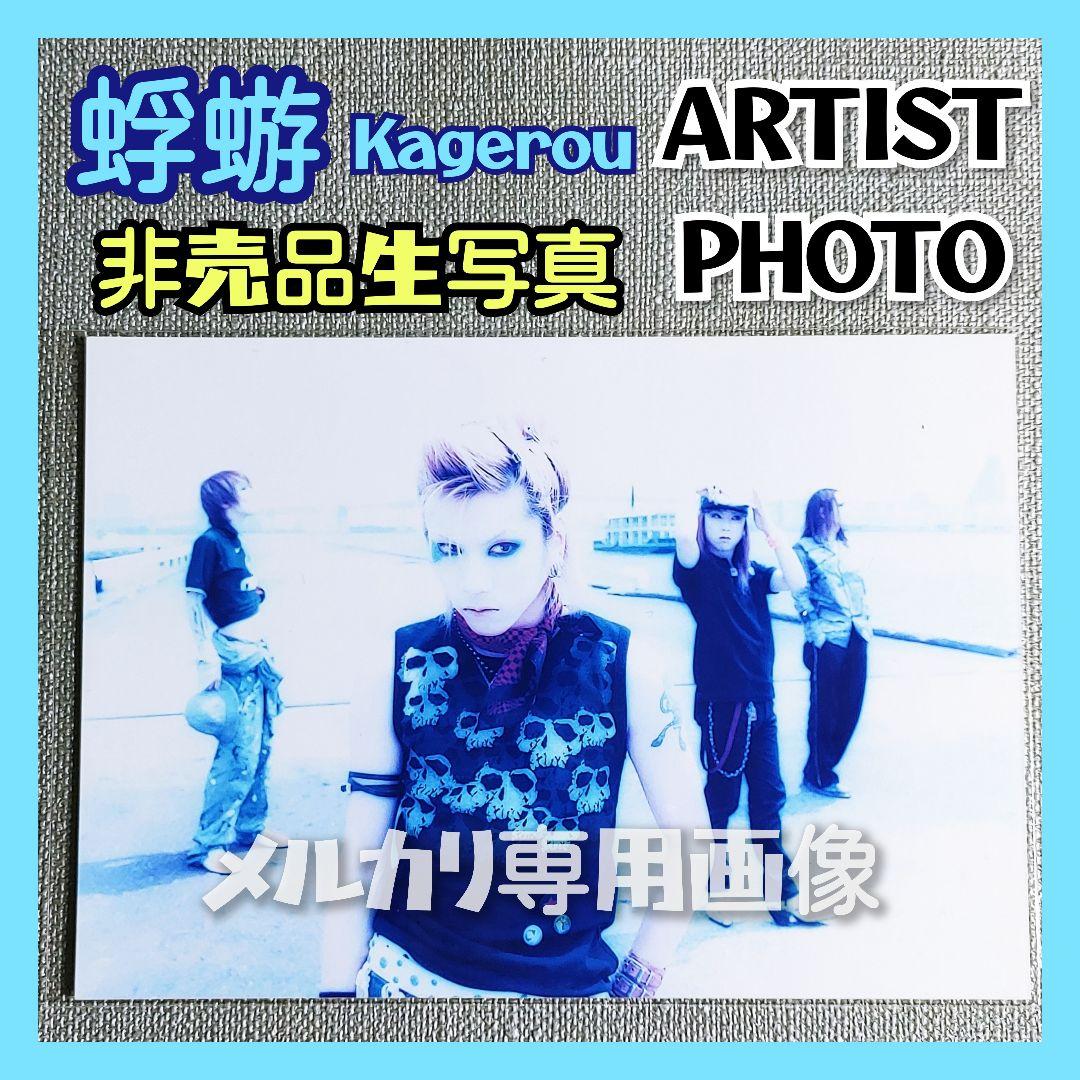 【非売品】蜉蝣 生写真『水浸しの数え唄』the stads 大佑と黒の隠者達