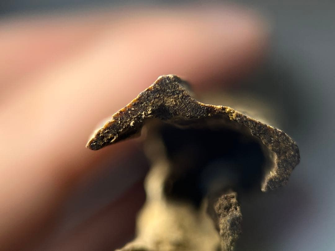 お香 天然沈香 六国五味聞香用 伽羅 香木 4-S-19.120