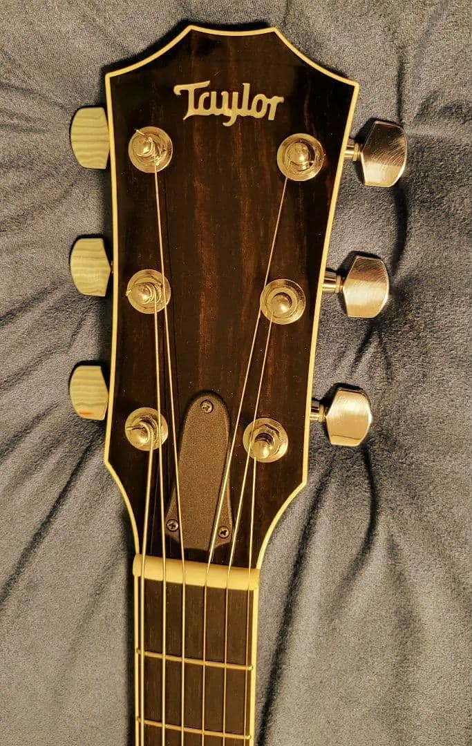 ギター Taylor guiter T5