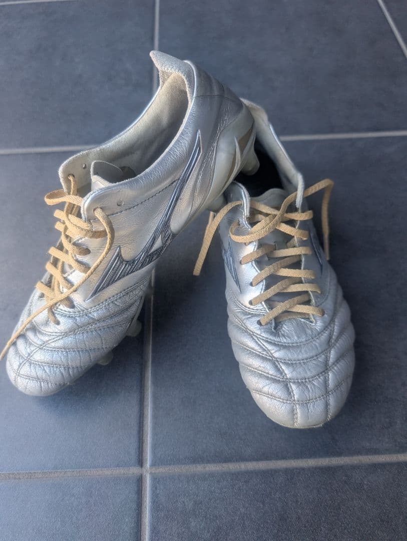 【おたんこナース】モレリアネオ4　シルバー　23.5cm