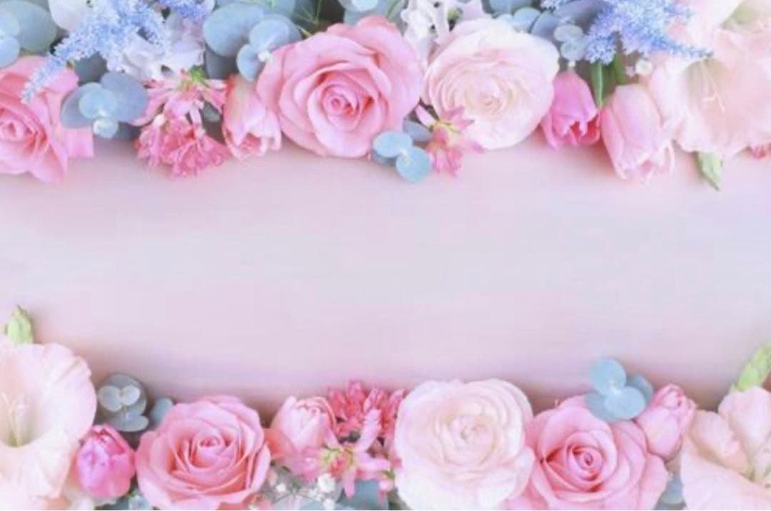 W1582.telado ダイカットメモ 3種セット