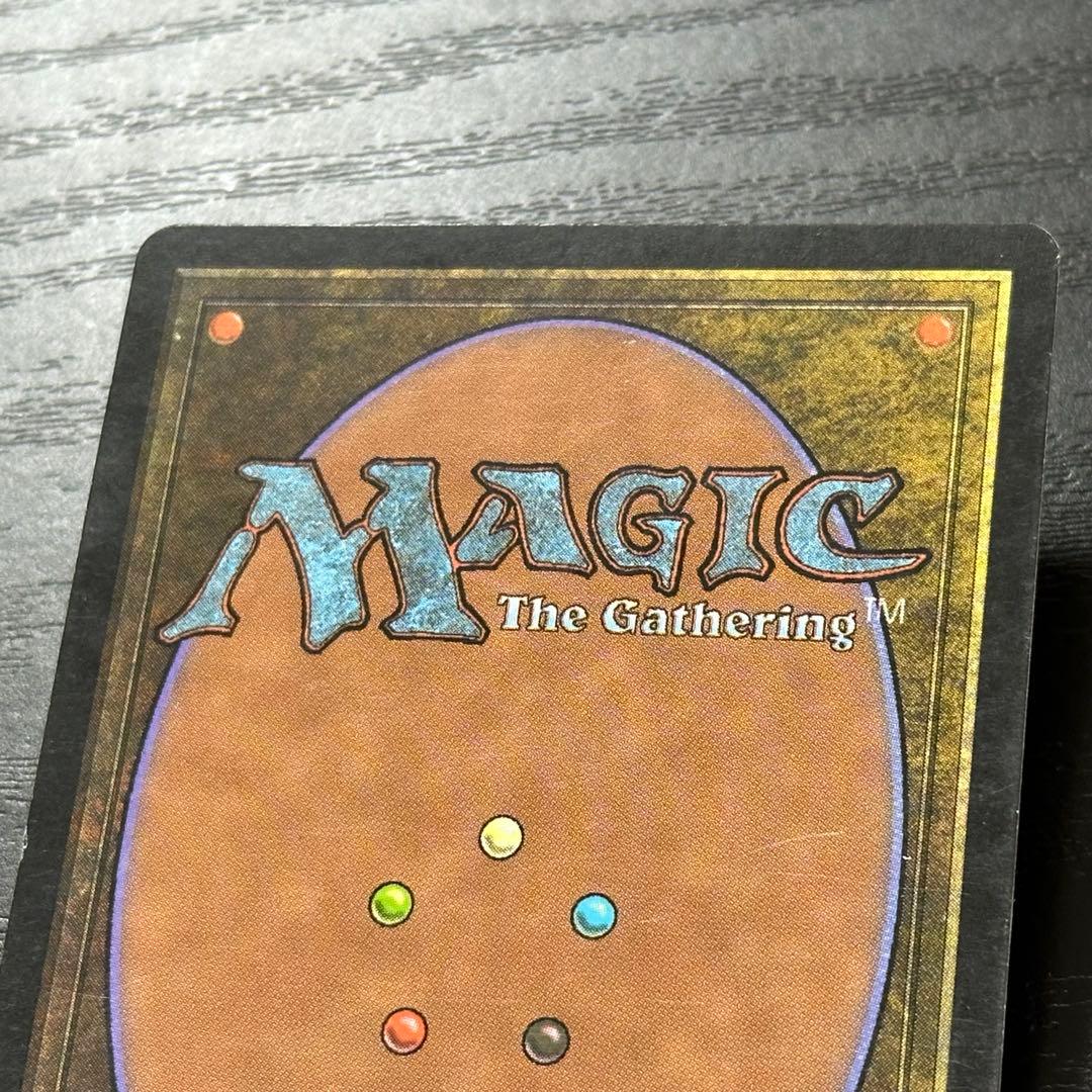 MTG 不毛の大地 日本語 初版 3枚