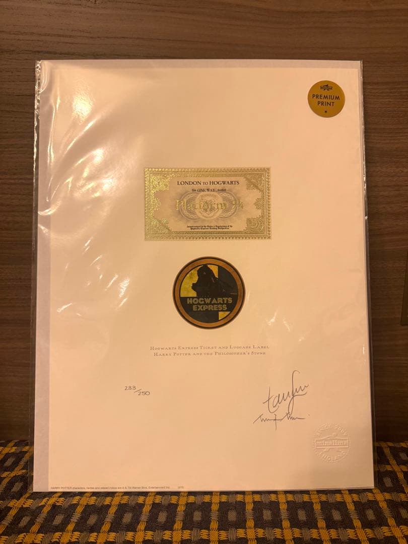 激レア！ミナリマ　アートプリント　ホグワーツ特急　チケット・マーク