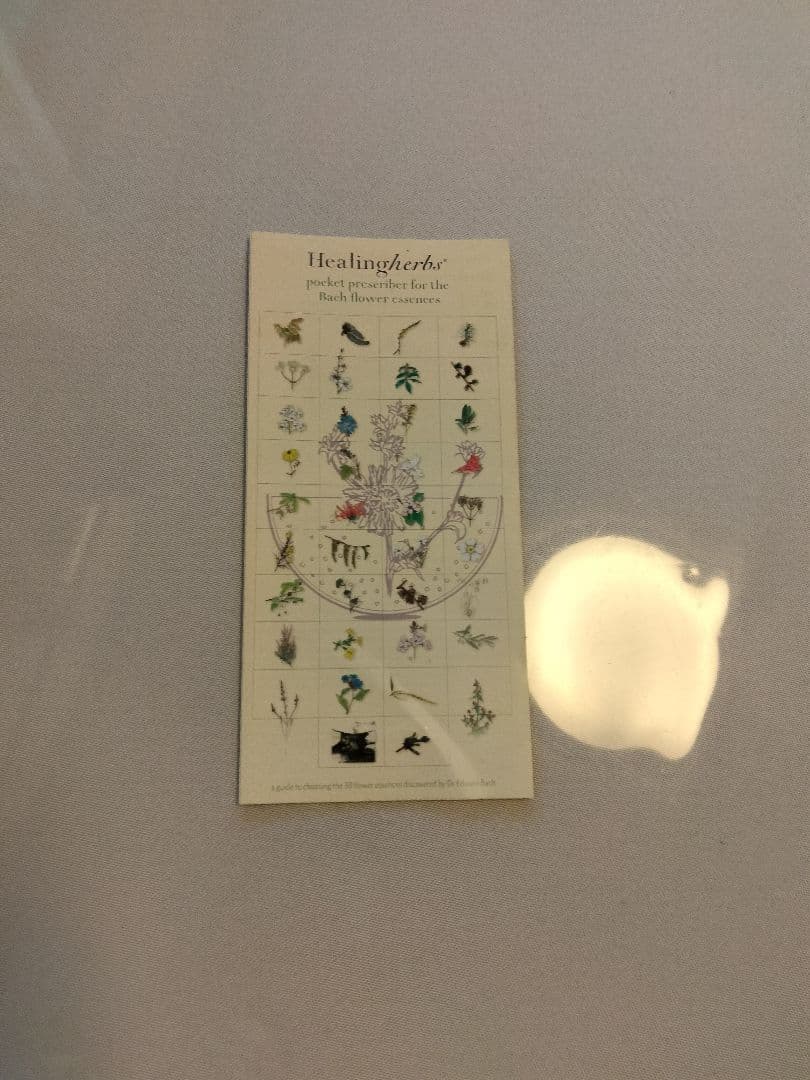 Nahoページ■30mlウォルナットヒーリングハーブス社フラワーエッセンス