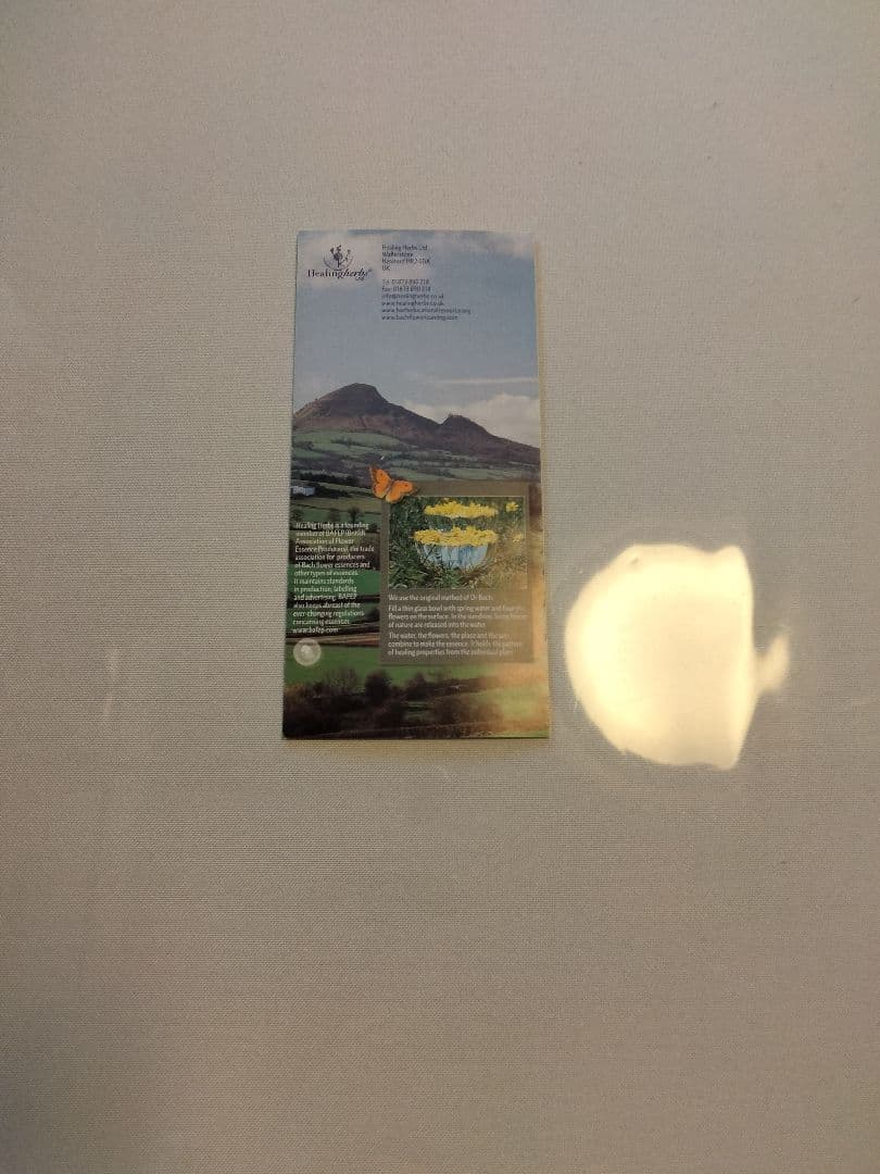 Nahoページ■30mlウォルナットヒーリングハーブス社フラワーエッセンス