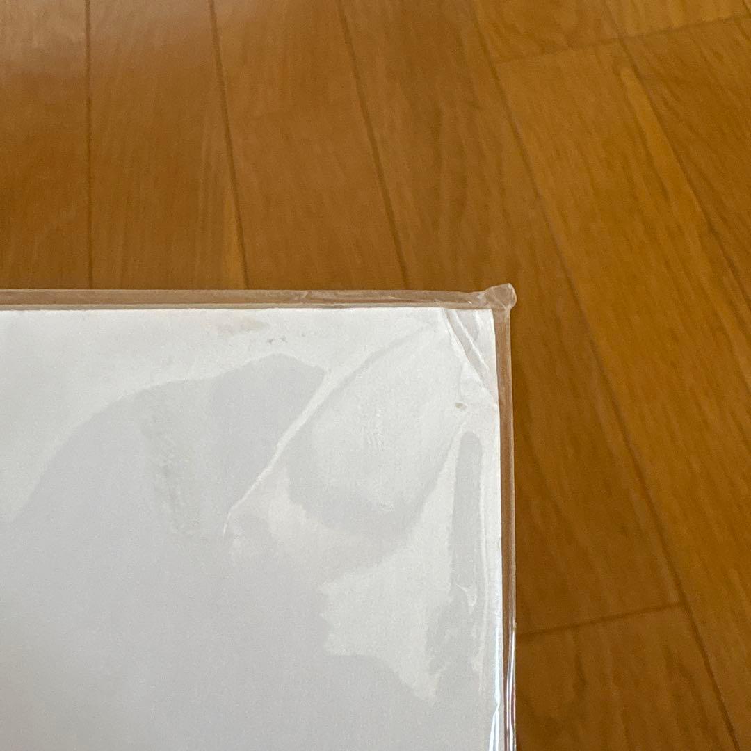 Heather Brown サーフィン シルクスクリーン