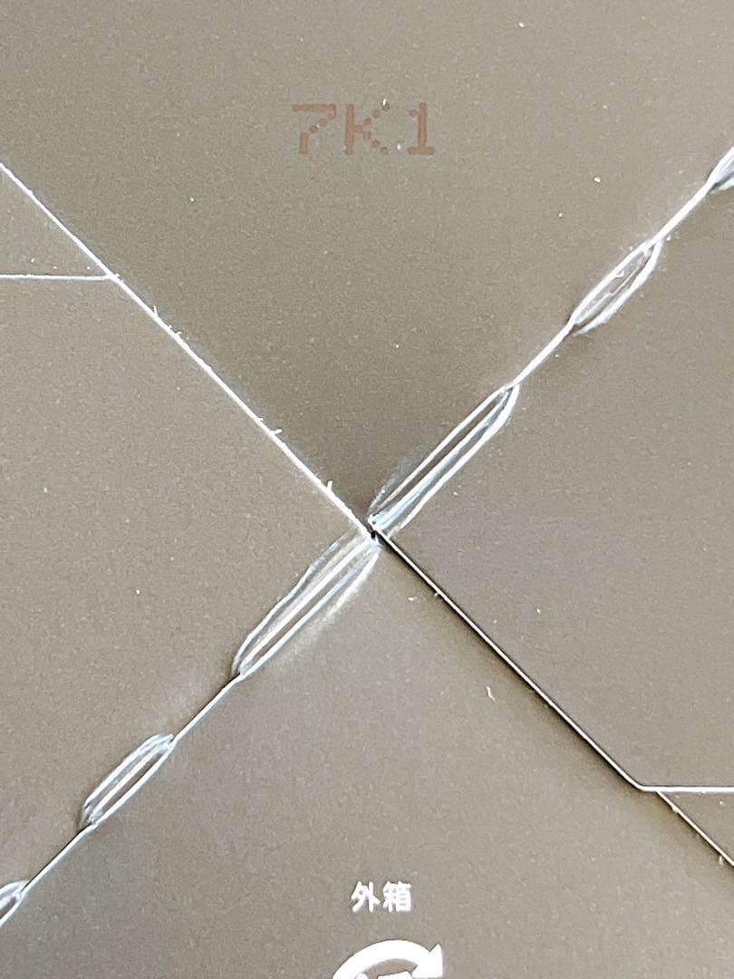 BIO SKIN LAB ビオスキンラボBIOオールインワンジェル② 朝倉未来