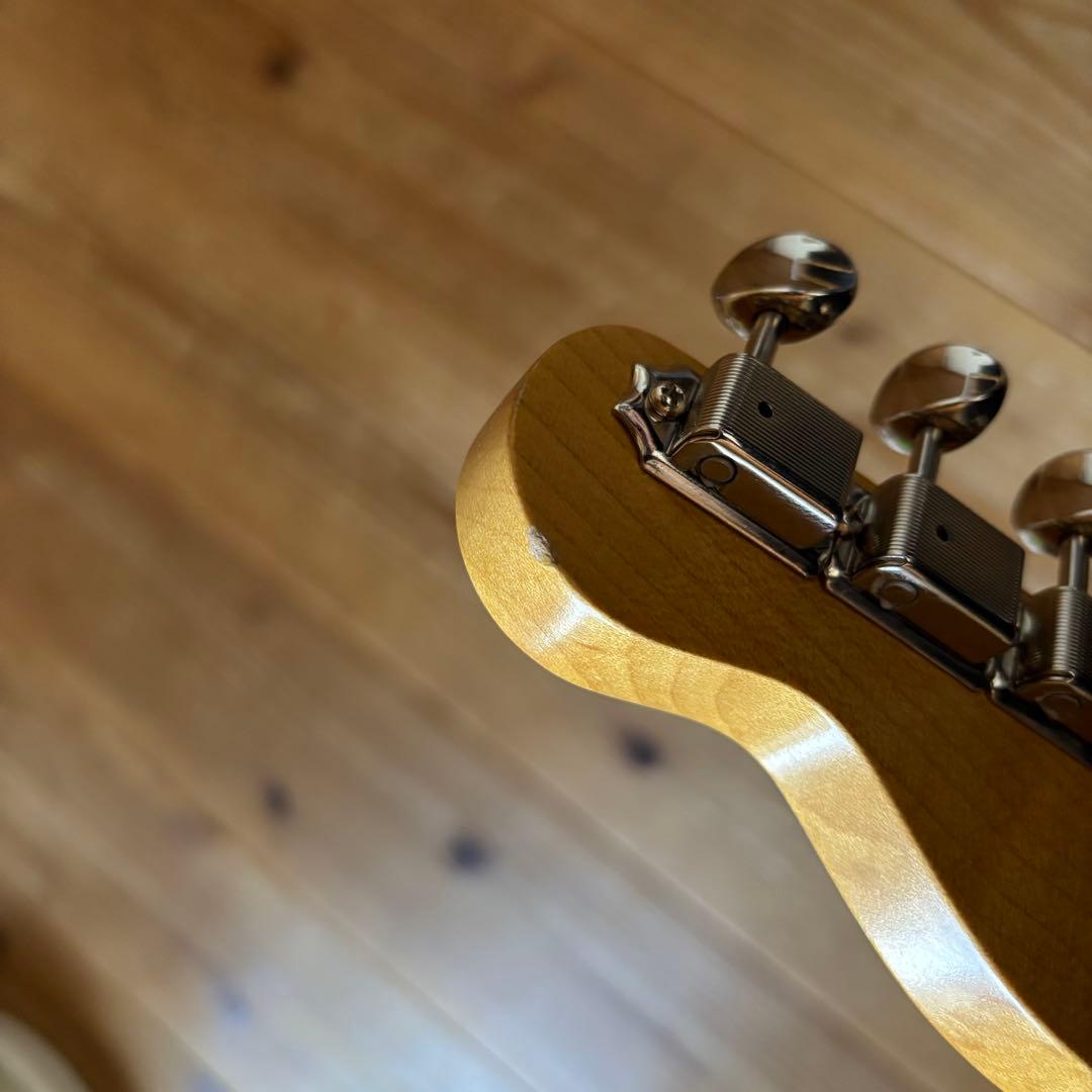 極太ネック Vanzandt TLV-R1 BSB