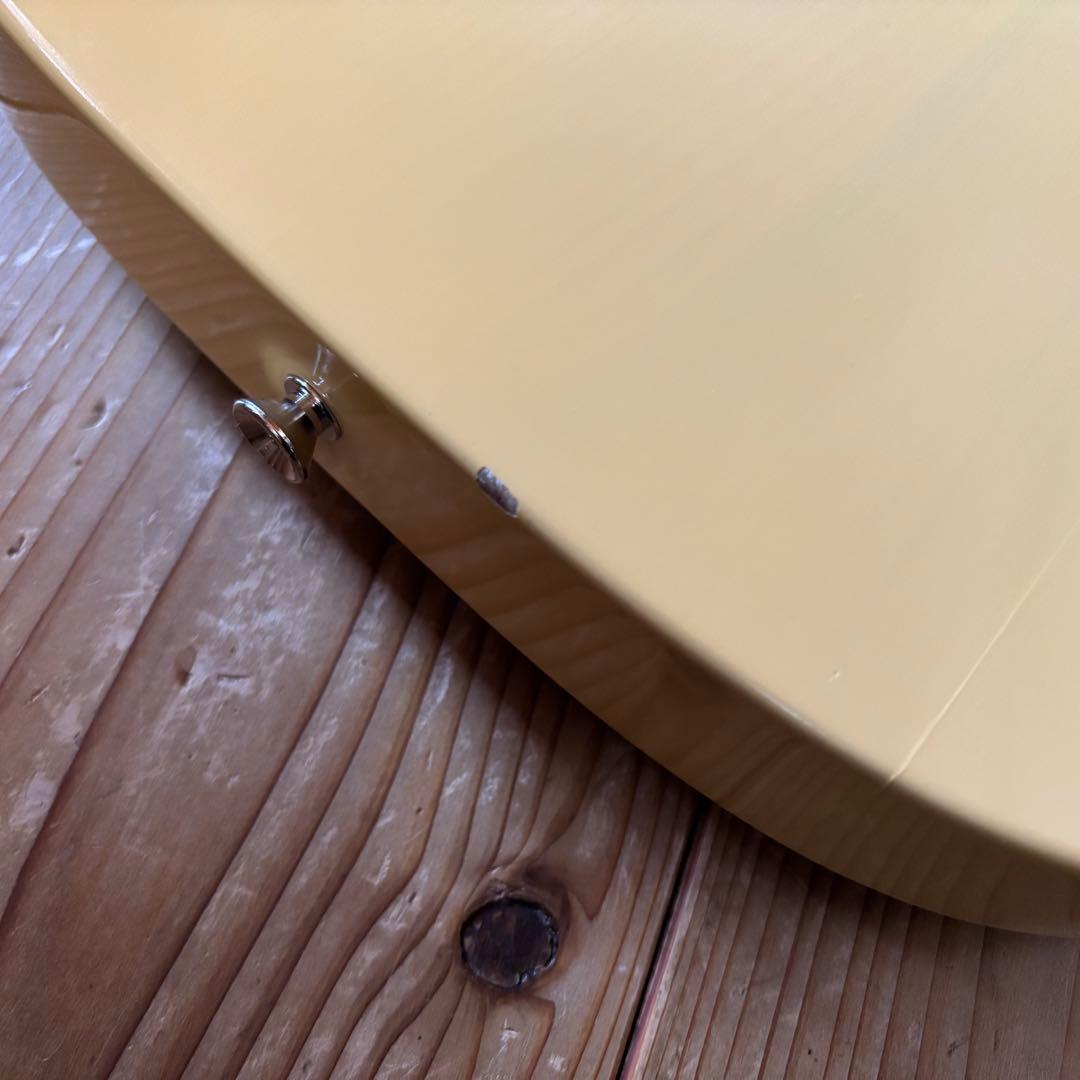 極太ネック Vanzandt TLV-R1 BSB