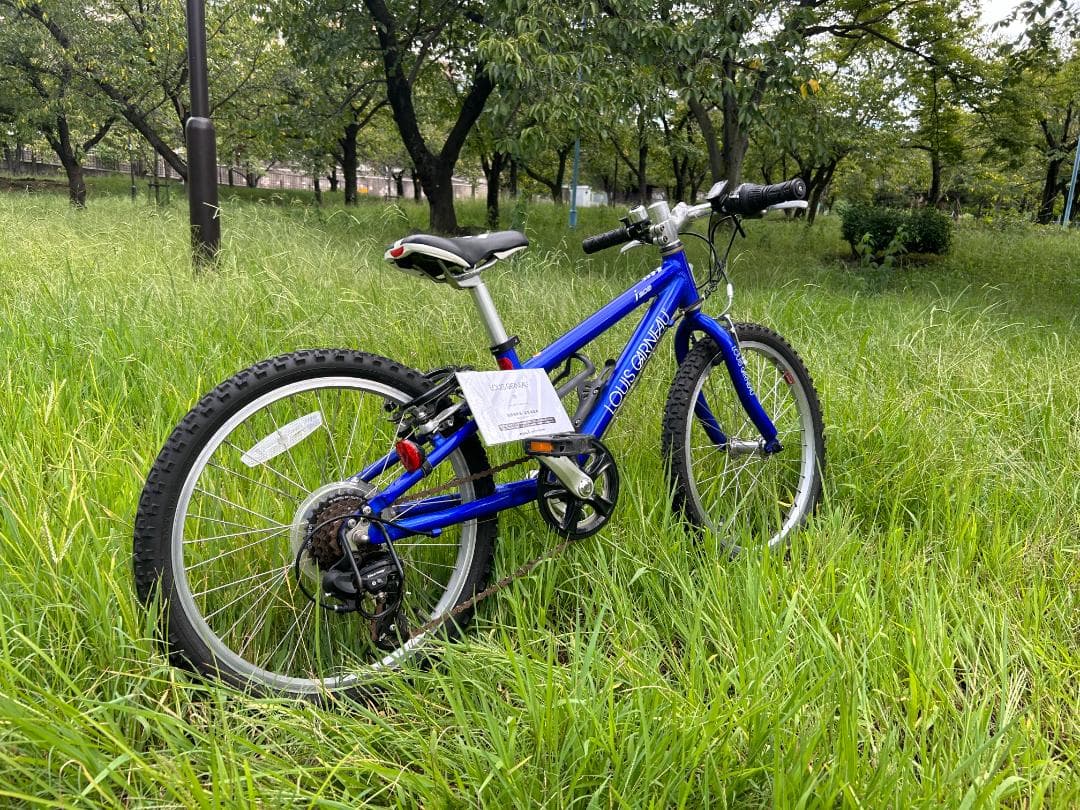 ルイガノ LGS－Ｊ２０６ 6段変速ギヤ 色：ブルー サイコン付