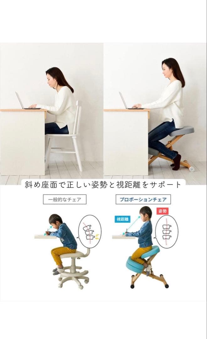 【極美品】宮武製作所 プロポーションチェア｜補助クッション・専用カバー・工具付