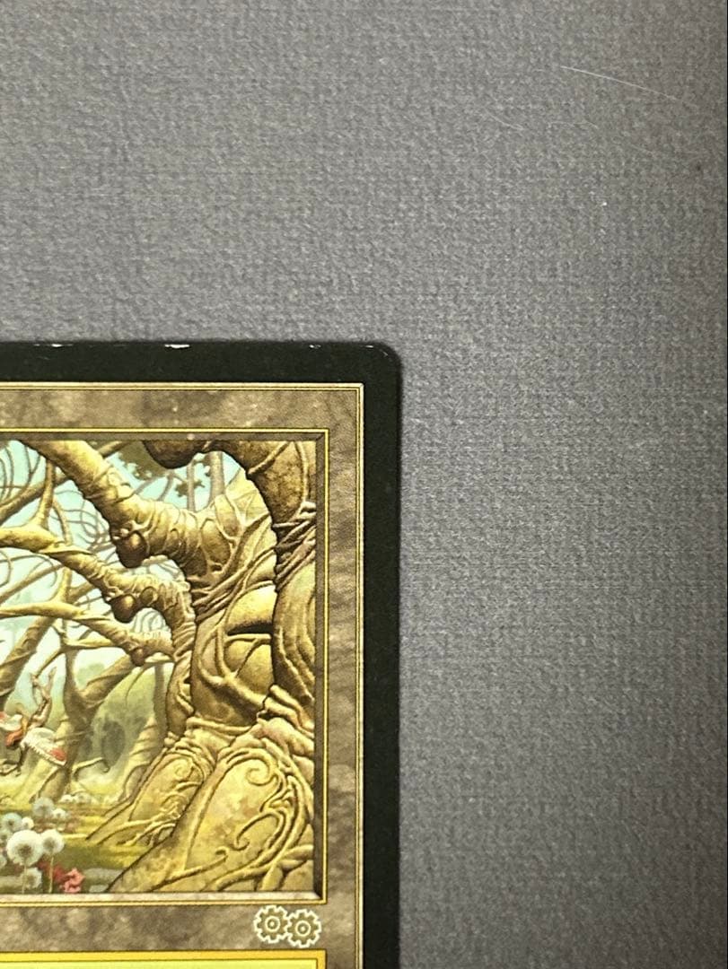 ガイアの揺籃の地 2枚 日本語版 英語版 MTG