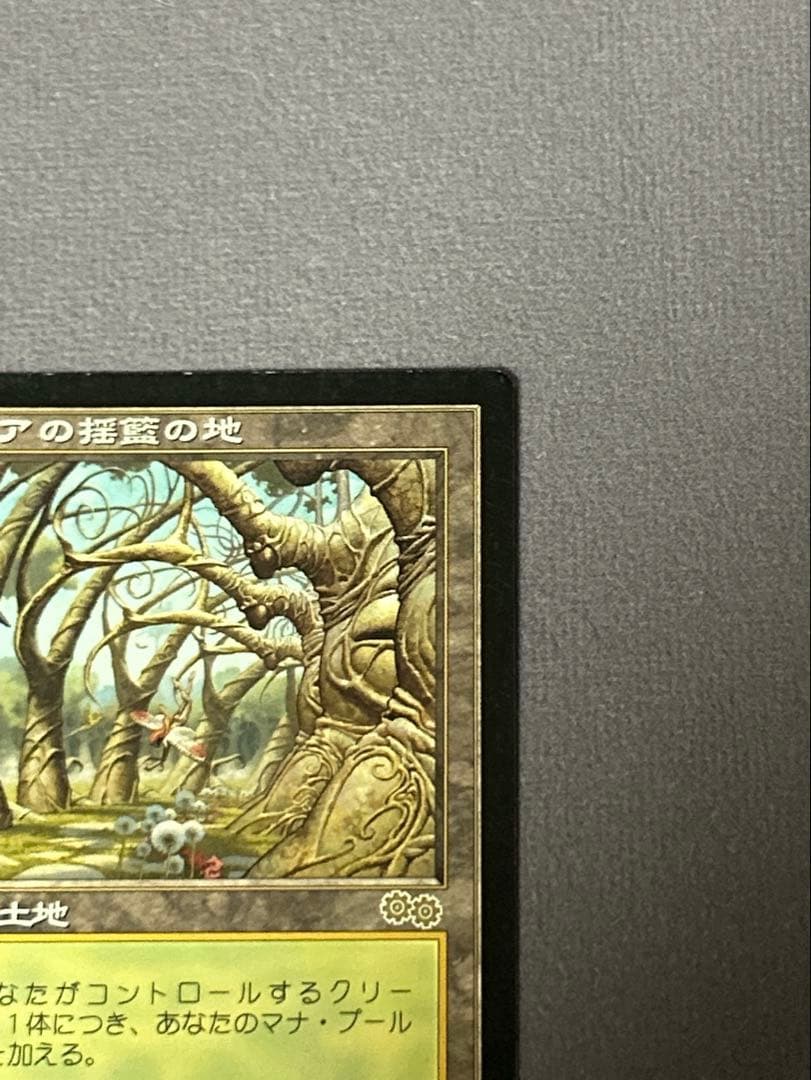 ガイアの揺籃の地 2枚 日本語版 英語版 MTG