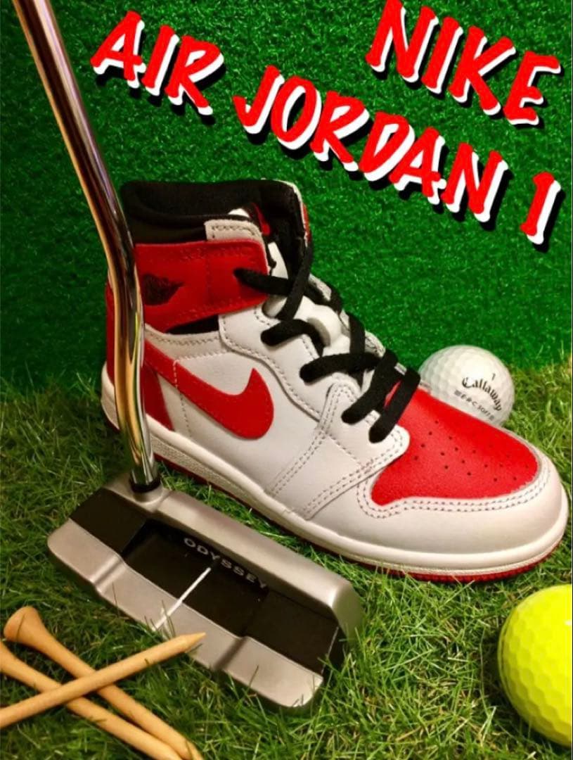 【超レア・新品】 NIKE JORDAN 1 ナイキ ジョーダン パターカバー