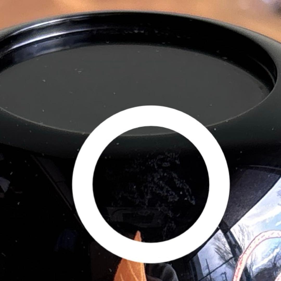 細川司光 桜蒔絵 輪島塗 大棗 茶道具 共箱