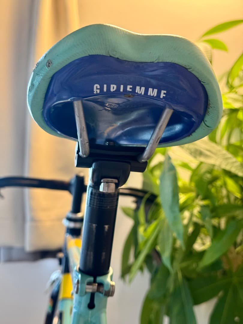 Bianchi ビアンキ Gold Race Special 53cm