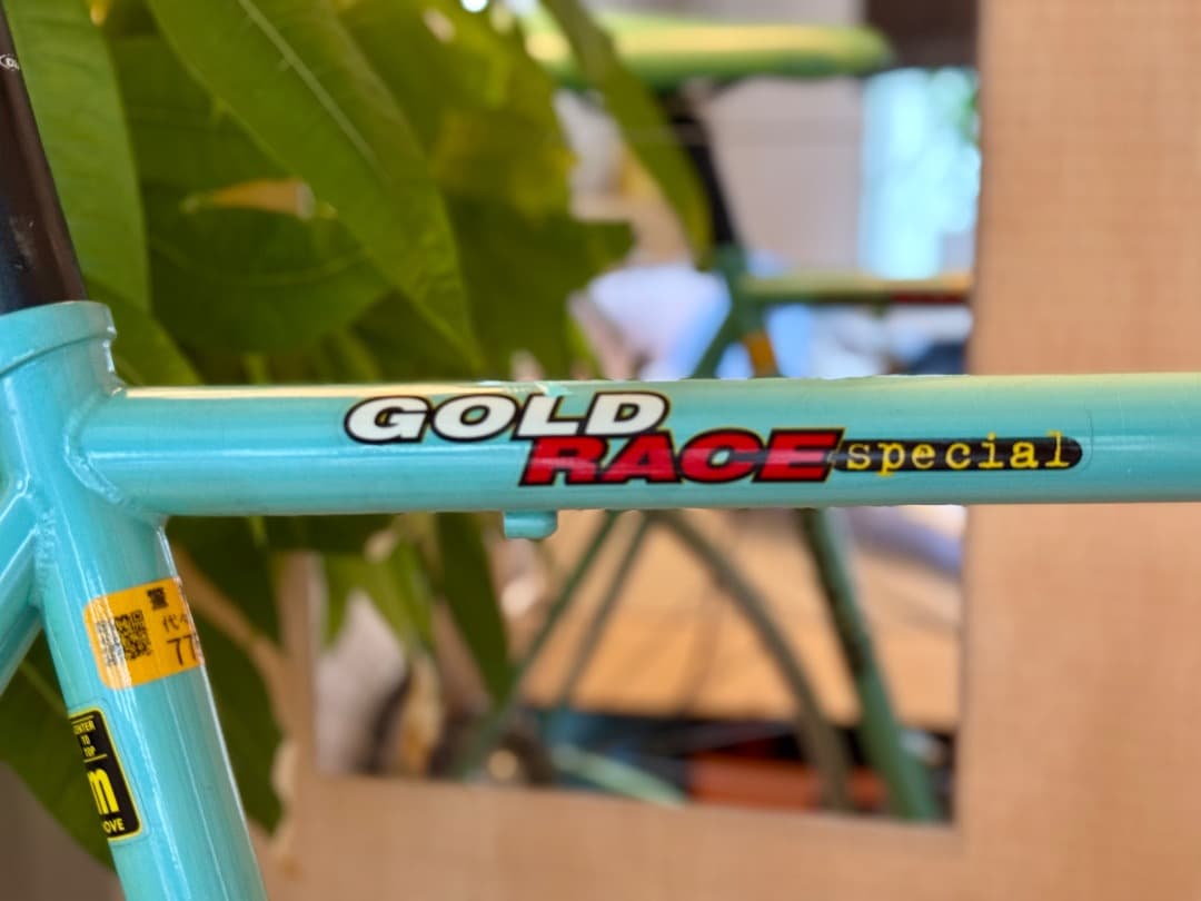 Bianchi ビアンキ Gold Race Special 53cm