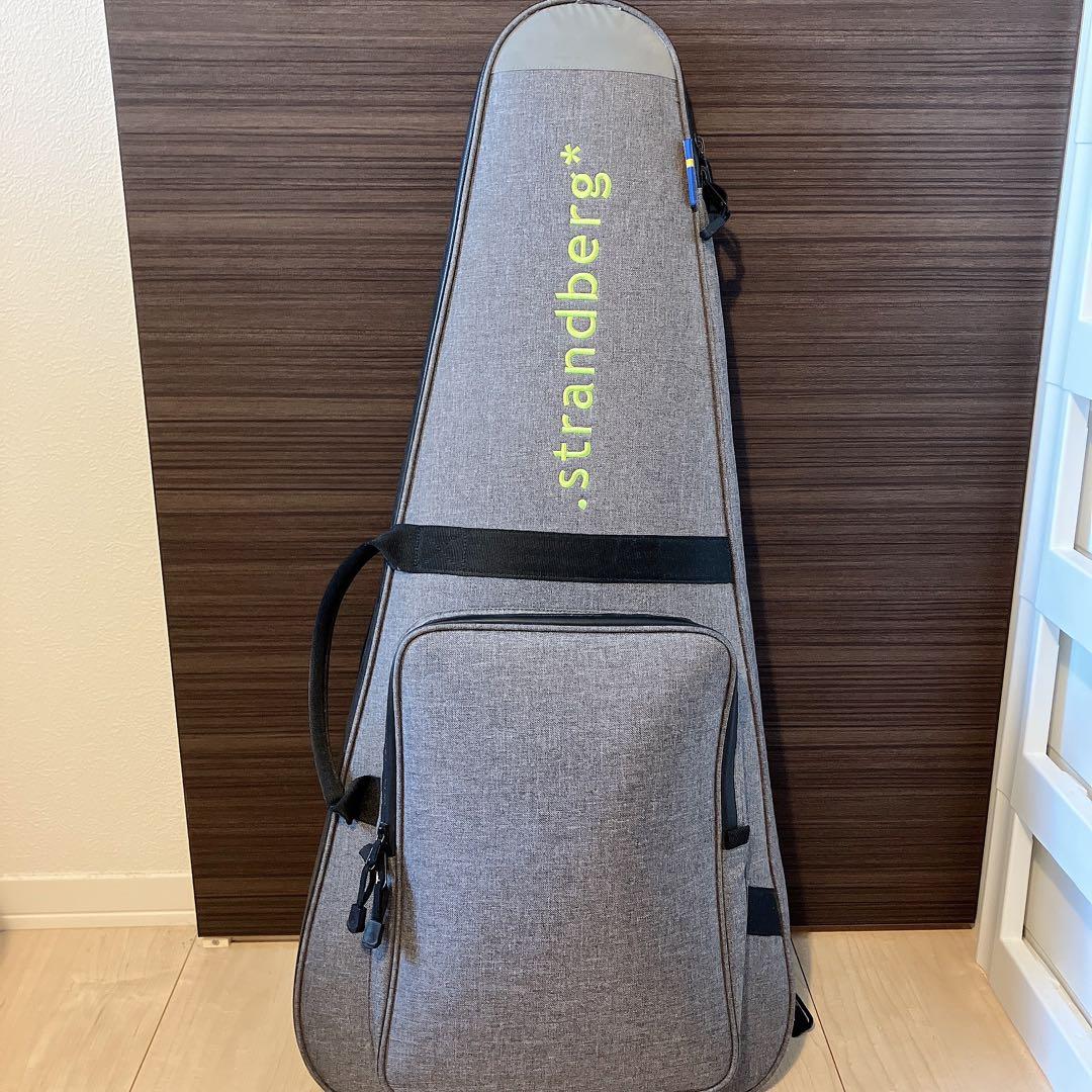 【最終値下げ】strandberg Salen Deluxe