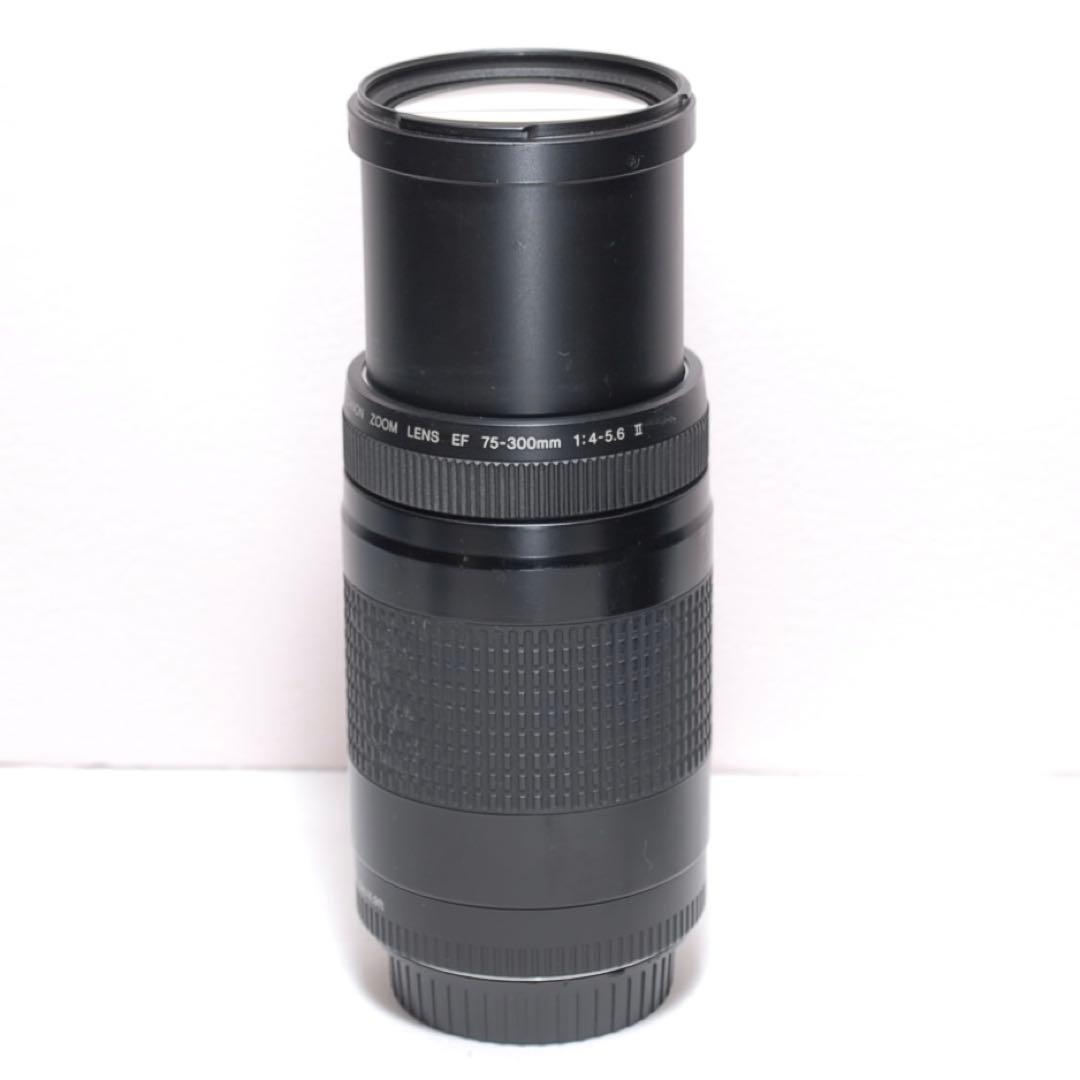 ✨超望遠レンズセット✨キャノン EOS 7D✨ 中級モデル✨高速連写機能✨