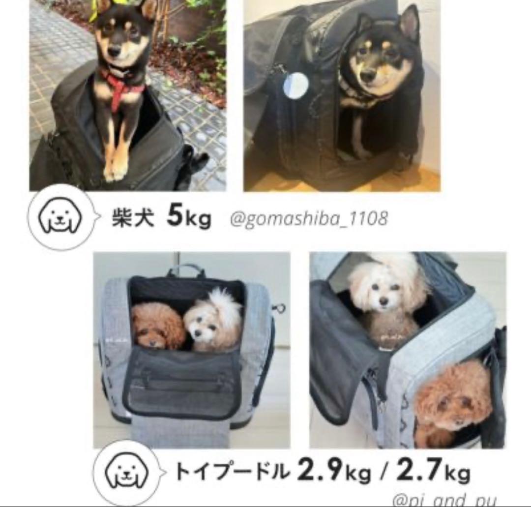 エアバギー AIRBUGGY3wayバックパックキャリー 耐荷重15kgワイド