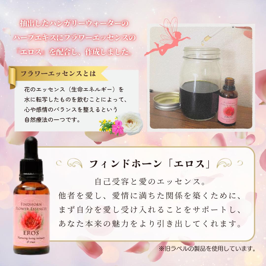 ◎再販◎【みつろうタイプ】ハンガリーウォータークリーム　20g