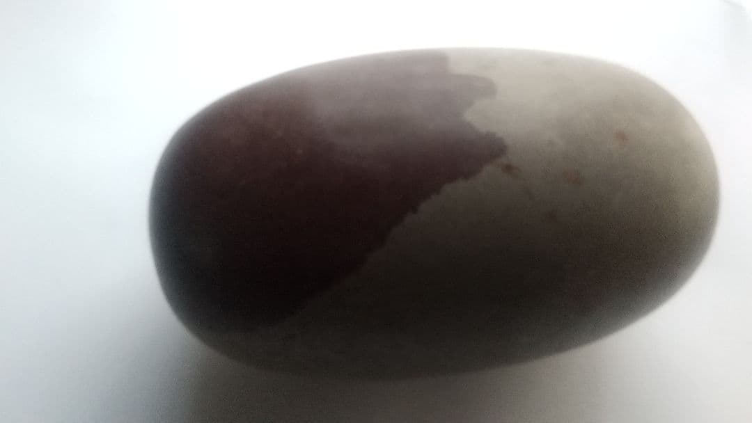 特大 希少価値‼️シバリンガム