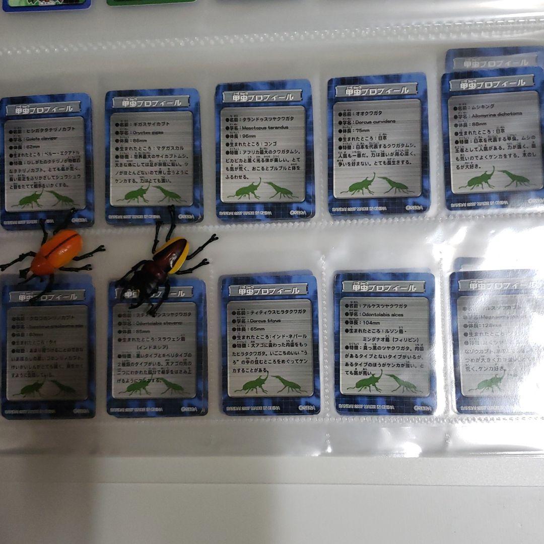 ムシキング新甲虫図鑑５　フィギュア確認用