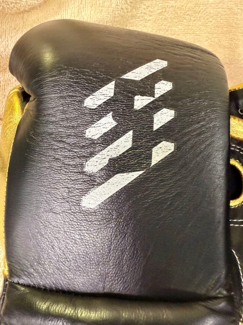 SEYER プロフェッショナル ボクシンググローブ 12oz 黒