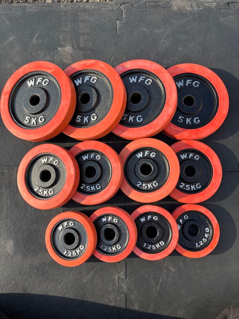 ホームジムセット WILDFIT ※引取り専用