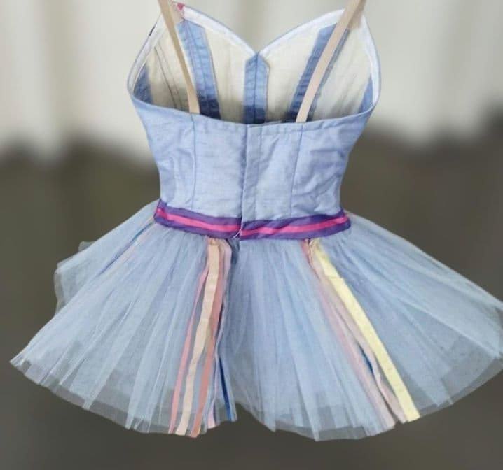 バレエ　小学校1、2年生チュチュ5着まとめ　ボンの長さ24~25