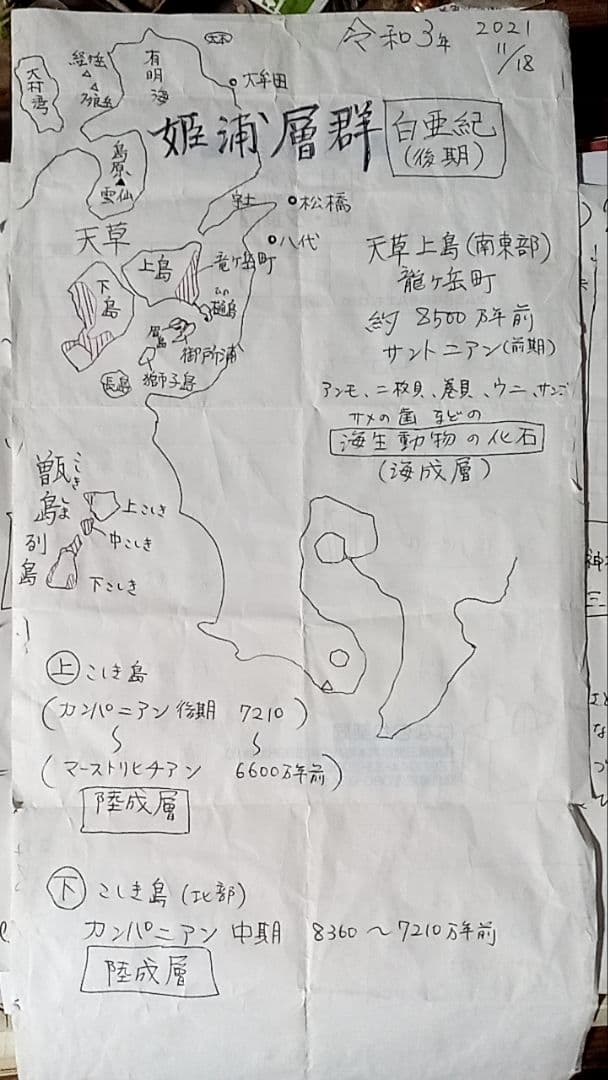 九州産　アンモナイト　プロテキサナイテス　超特大　希少　博物館展示級
