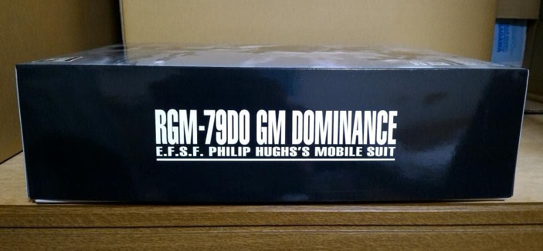 MG ジム・ドミナンス(フィリップ・ヒューズ機) ザ・ブルー・ディスティニー