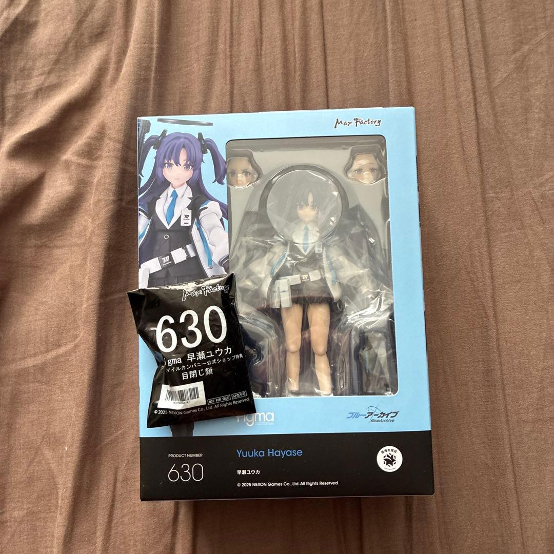 足の長いマンチカン