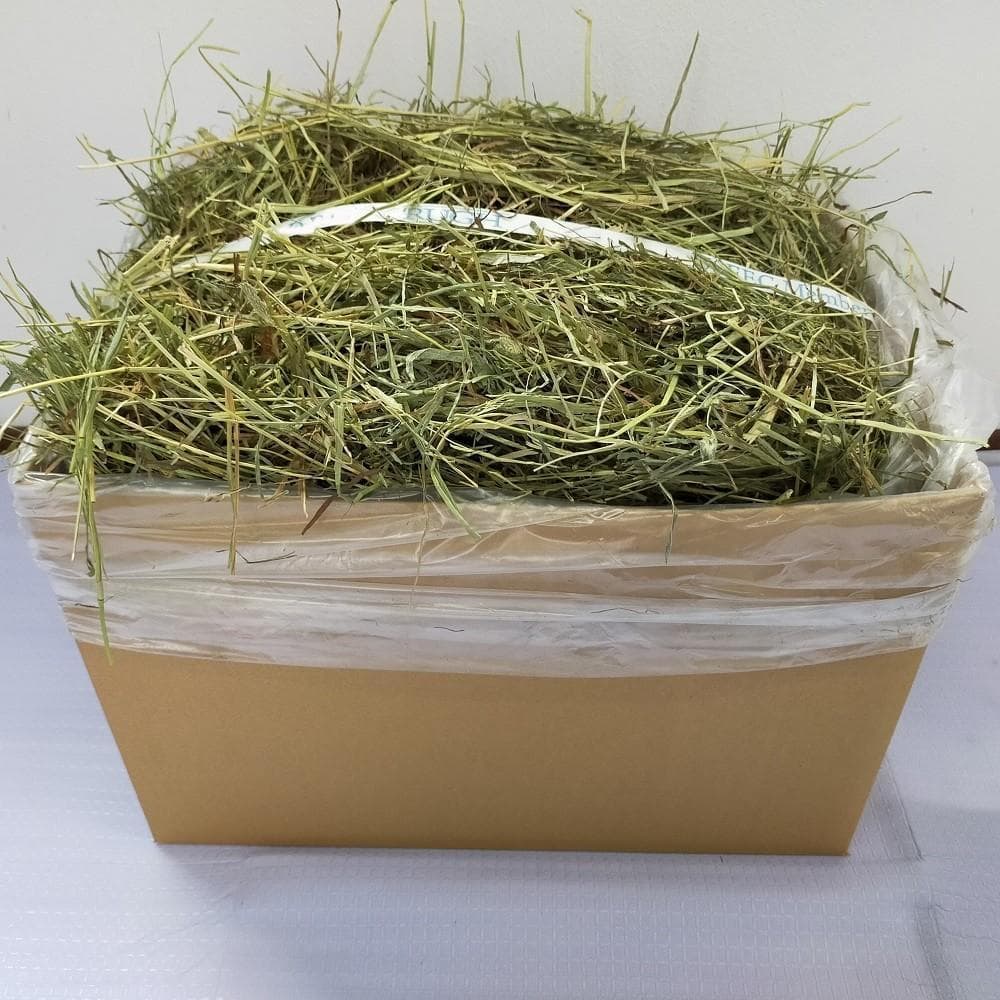 【家計応援価格】US産 チモシー 100kg ２番刈 ソフトSプレミアム