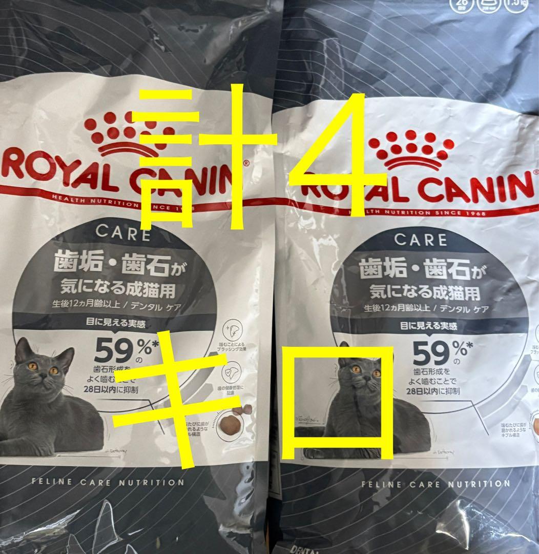 ロイヤルカナン 歯垢　歯石が気になる成猫　デンタルケア 2キロ 2袋　計4キロ
