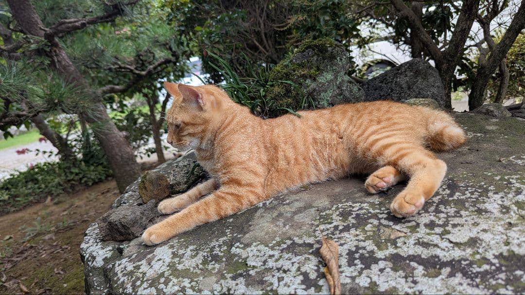 09ツインパワー　sw8000HG